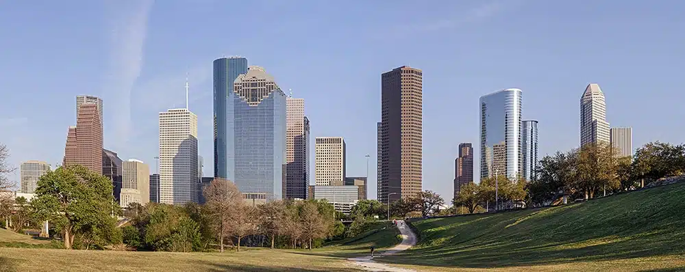 Houston City View